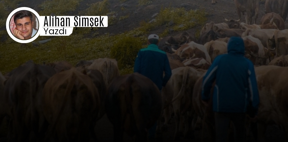 Toplumsal Çöküş ve Kamera Çözümü: Simgesel Müdahalenin Yetersizliği