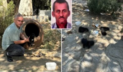 Hain planında çocukları kullanan vicdansız hayvanları zehirleyerek öldürdü