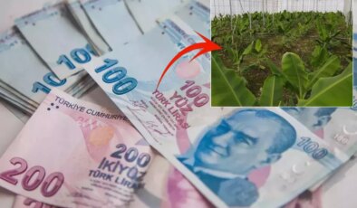2019’da çektiği kredi ile hayatı değişti: Aylık 640 bin TL kazanıyorum