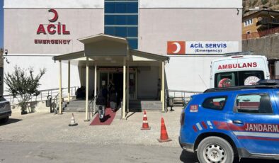 Ağaçtan ceviz topluyordu: Kahreden ölüm!
