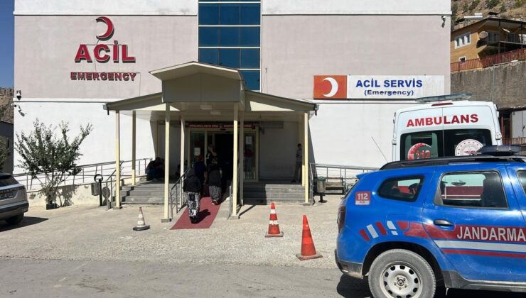 Ağaçtan ceviz topluyordu: Kahreden ölüm!