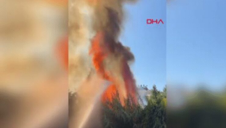 Antalya'da çalılık yangını seralara sıçradı!