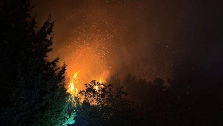 Beykoz’da orman yangını: Ekipler bölgede!