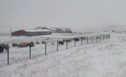 Bir anda bastıran kar 4 şehri bembeyaz yaptı