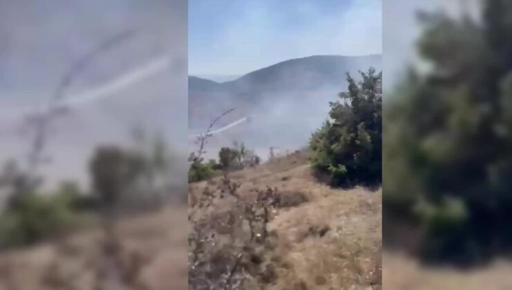 Boyabat'ta otluk alanda çıkan yangın büyümeden söndürüldü