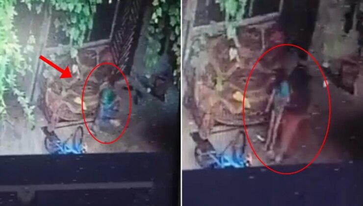 Boynuna salıncak ipi dolanan 3 yaşındaki çocuk hayatını kaybetti