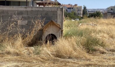 Burdur’da 3 sokak köpeğinin saldırısına uğrayan kadın yaralandı