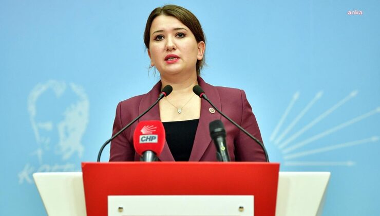 CHP'li Gökçen: Hasan Mutlu, tehditlere boyun eğmediği için tutuklandı