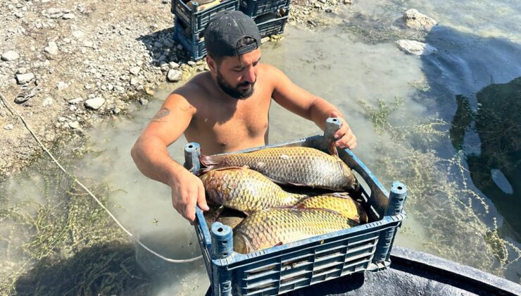 Denizsiz yerde ayda 200 bin lira kazanıyor