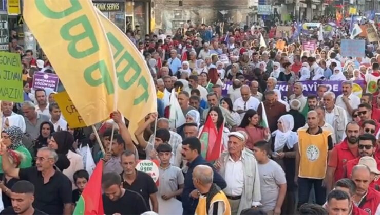 Diyarbakır'da Öcalan için yürüyüş
