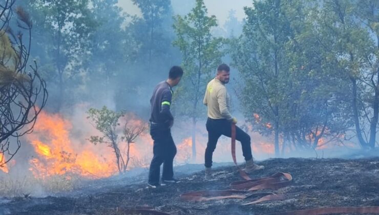 Düzce'de anız yangını kontrol altına alındı