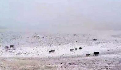 Erzurum’a mevsimin ilk karı yağdı