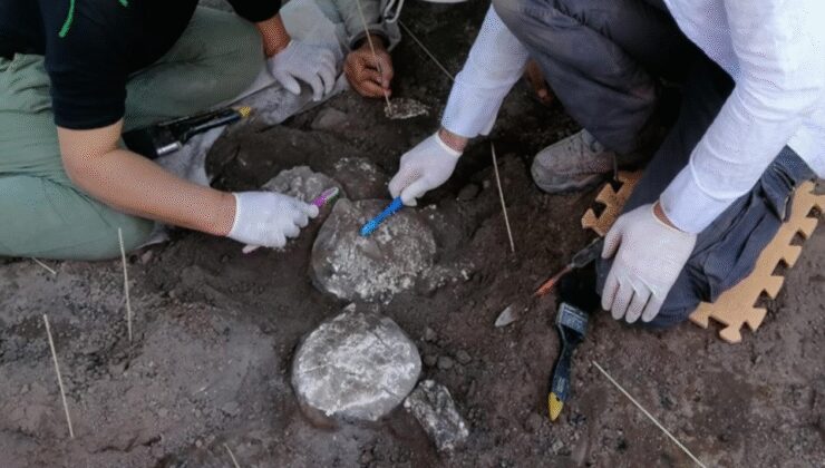 Erzurum'da kazı yapılan alanda insan kemikleri bulundu