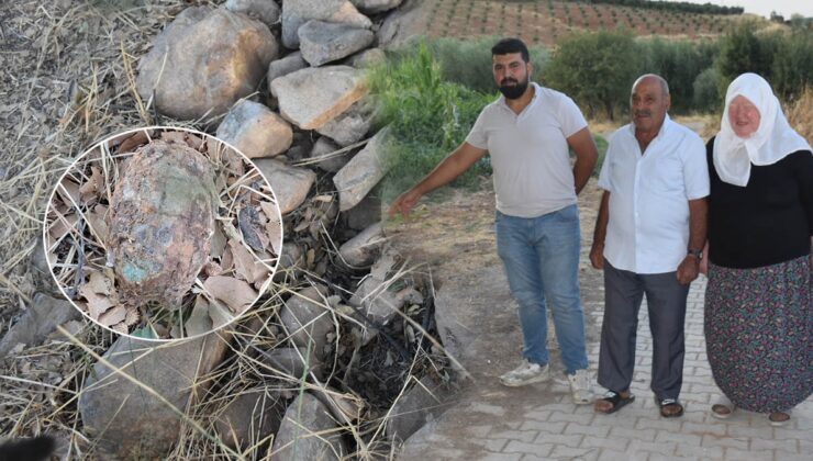 Evin bahçesinden çıktı… Korkuyla polisi aradılar: 'İki gündür uyuyamıyoruz'