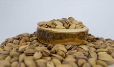 Fıstıktaki artış rekor kırmıştı! İthalat izni sonrası baklava için indirim sinyali geldi