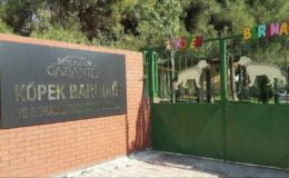 Gaziantep'teki vahim iddialara belediyeden yanıt