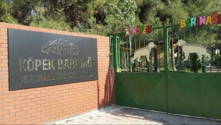 Gaziantep'teki vahim iddialara belediyeden yanıt
