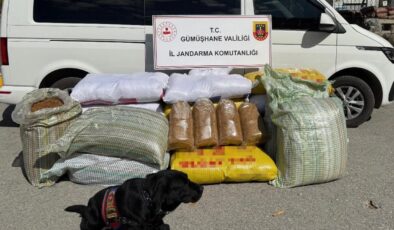 Gümüşhane’de operasyon: 530 kilo ele geçirildi
