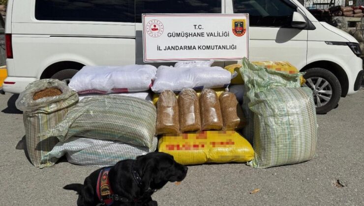 Gümüşhane’de operasyon: 530 kilo ele geçirildi