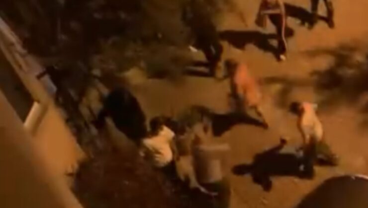 Havai fişekli kutlamaya tepki gösteren çifti darbettiler