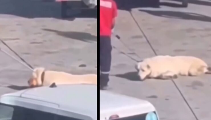 Havalimanındaki skandal görüntü sonrası İGA'dan açıklama