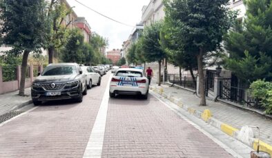 İstanbul’da kan donduran cinayet: Abisini canice öldürdü