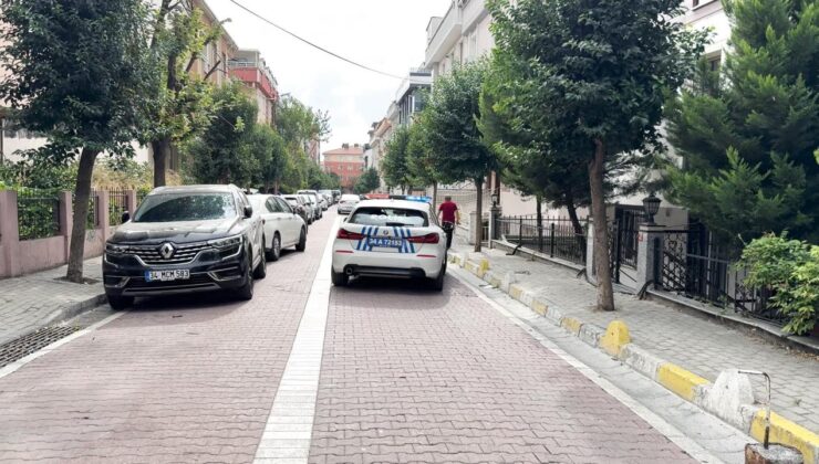 İstanbul’da kan donduran cinayet: Abisini canice öldürdü