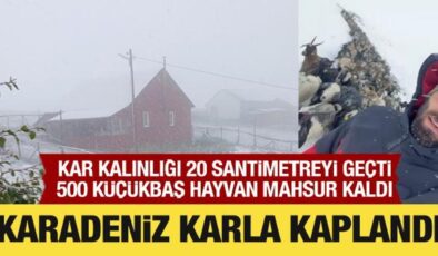 Karadeniz karla kaplandı: Hayvanlar mahsur kaldı