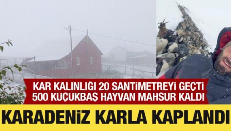 Karadeniz karla kaplandı: Hayvanlar mahsur kaldı