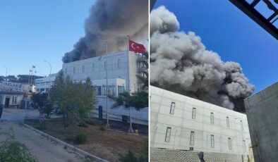 Kimyasal madde üreten fabrikada yangın çıktı