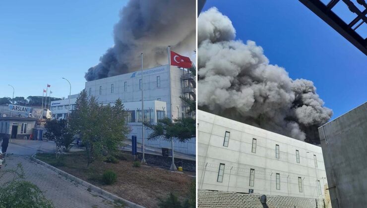 Kimyasal madde üreten fabrikada yangın çıktı