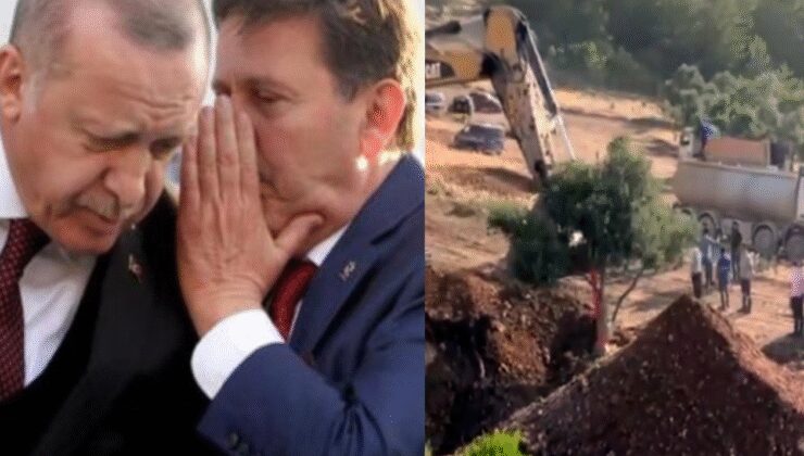 Limak zeytin katliamında AKP li iş insanı ile birlikte
