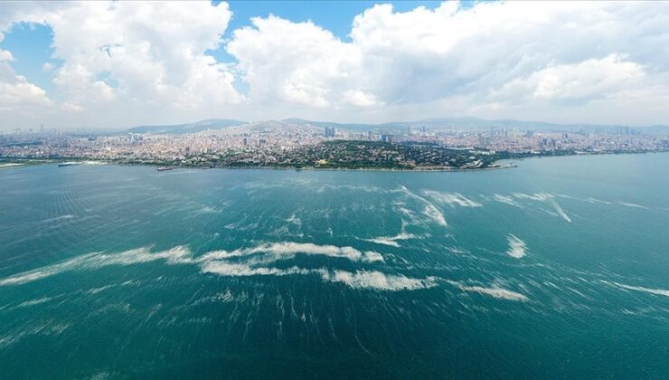 Marmara Denizi alarm veriyor: 1,6 milyon kişi yüksek risk altında!