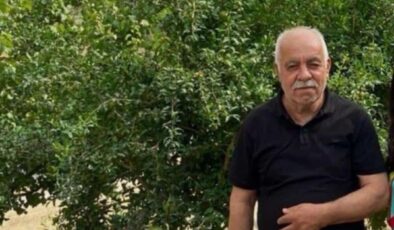 Mazıdağı’nda ceviz toplarken düşen muhtar hayatını kaybetti
