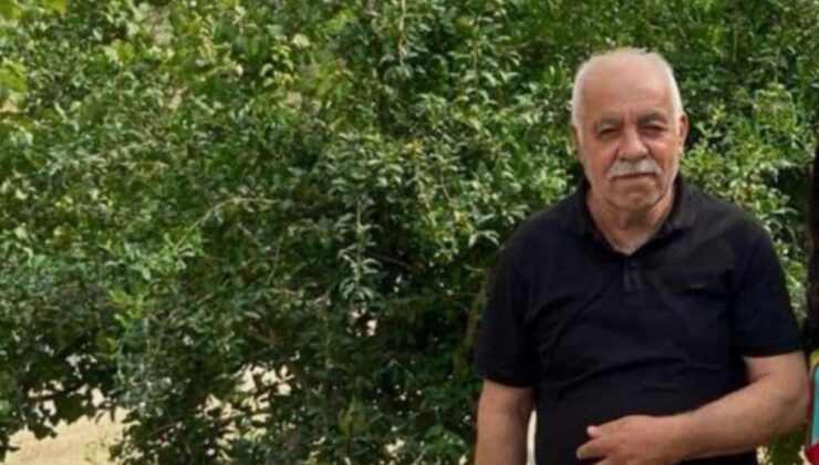 Mazıdağı’nda ceviz toplarken düşen muhtar hayatını kaybetti