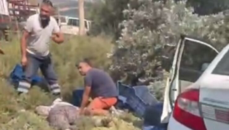 Mersin'de otomobil bahçede çalışan işçilerin arasına daldı: Ölü ve yaralılar var