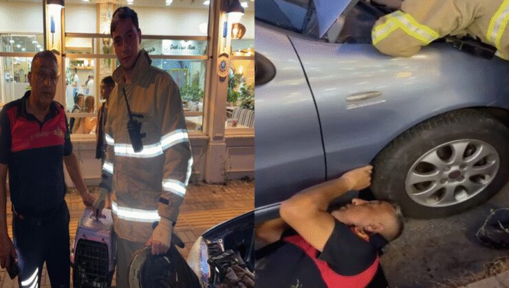 Otomobilin motoruna sıkışan yavru kediyi böyle kurtardılar