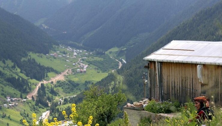 Rize'de yaylada yollarını kaybeden iki turiste ulaşmak için çalışma başlatıldı