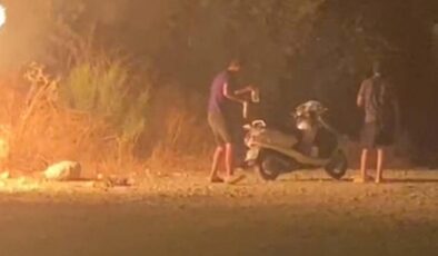 Sabaha karşı motosikletle gelip, ormanı ateşe verdiler!