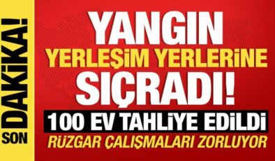 Son dakika… Alanya ve Milas’ta yürek yakan haber! Çok sayıda ekip sevk edildi!
