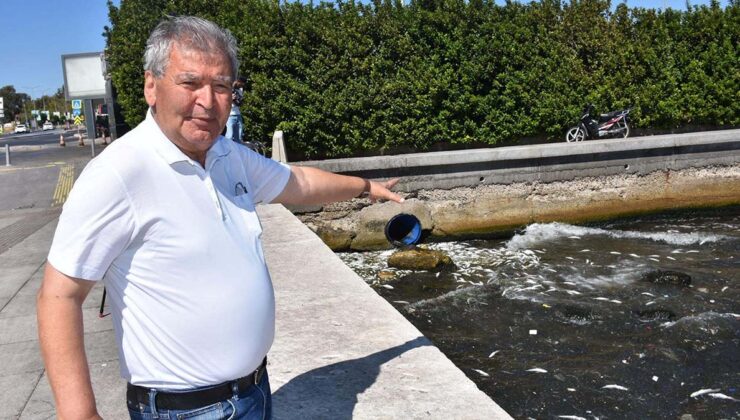 Tedirgin eden görüntü: 'Buralarda sakın balık tüketmeyin'