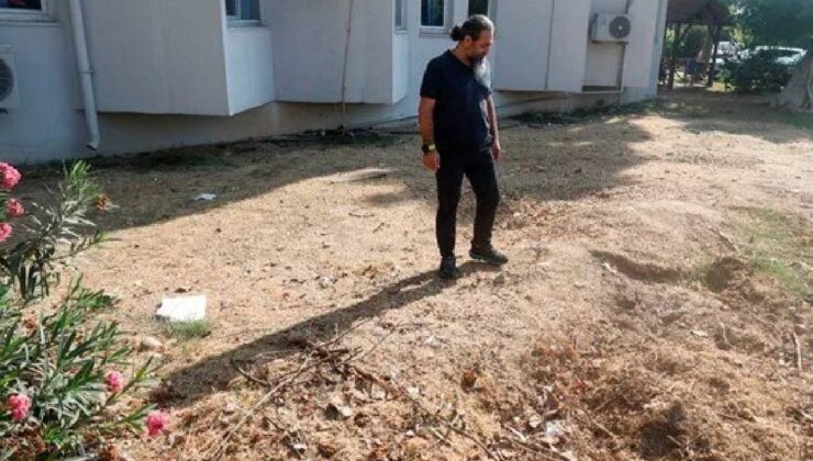 Toprağa gömülmüştü 4 yıl aradan sonra çıkarılıyor: Boyu tam 14 metre