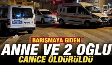 Van’da korkunç olay: Anne ve 2 oğlu hayatını kaybetti