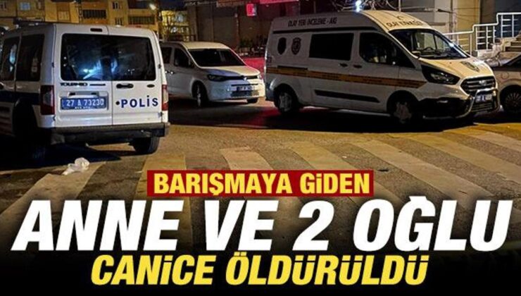 Van’da korkunç olay: Anne ve 2 oğlu hayatını kaybetti