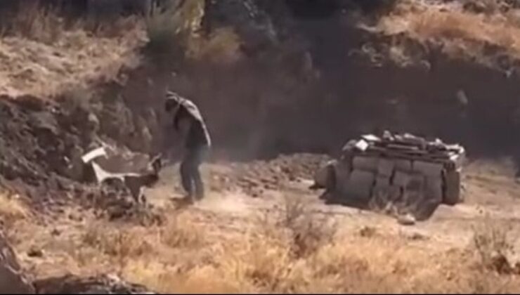 Yavru köpeğe eziyet saniye saniye kaydedildi