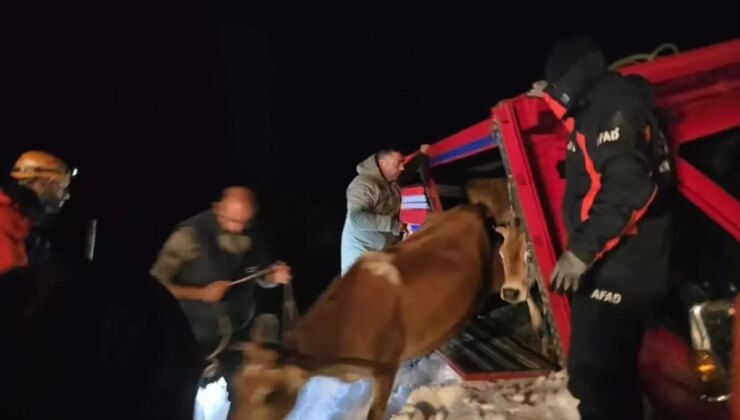 Yaylada içinde 15 kişi olan araçların üzerine çığ düştü