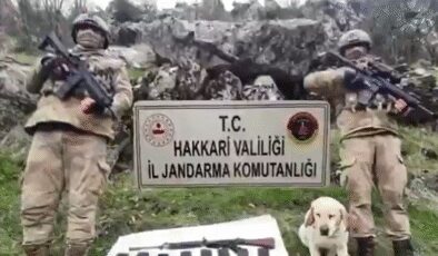 Yerlikaya: 6 ayda 144 mağara ve sığınak imha edildi
