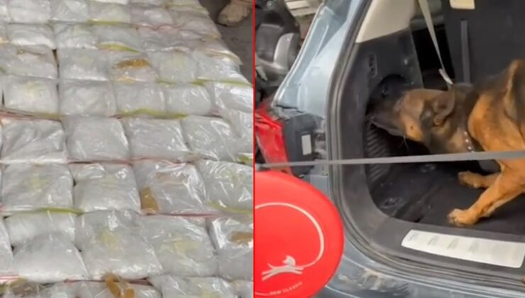 100 kiloluk uyuşturucu sevkiyatı polise takıldı
