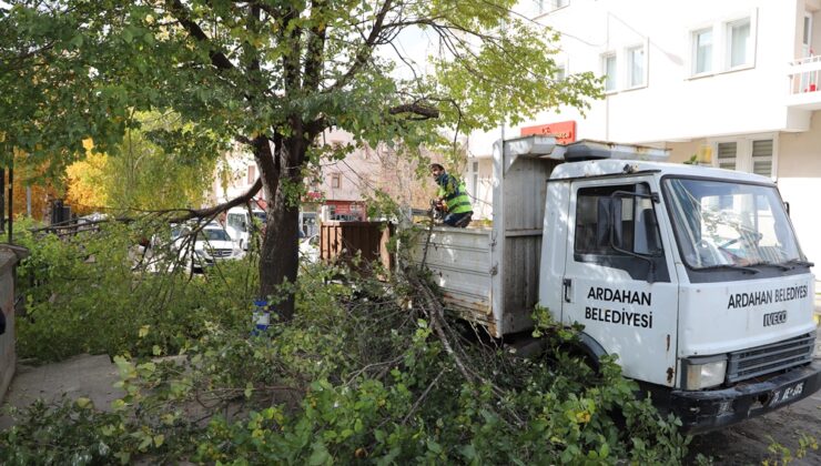 ARDAHAN BELEDİYESİ’NDEN KENT GENELİNDE AĞAÇ BUDAMA SEFERBERLİĞİ