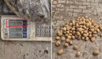 Ahlaksızlıkta son nokta: 22 kiloluk çuvaldan 13 kilo patates çıktı